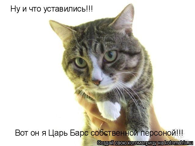 Котоматрица: Ну и что уставились!!! Вот он я Царь Барс собственной персоной!!!