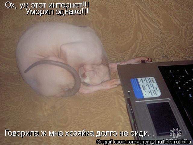 Котоматрица: Ох, уж этот интернет!!! Уморил однако!!! Уморил однако!!! Говорила ж мне хозяйка долго не сиди...
