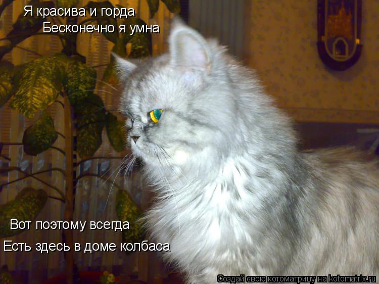 Котоматрица: Я красива и горда Бесконечно я умна Есть здесь в доме колбаса Вот поэтому всегда