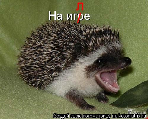 Котоматрица: На игре / л