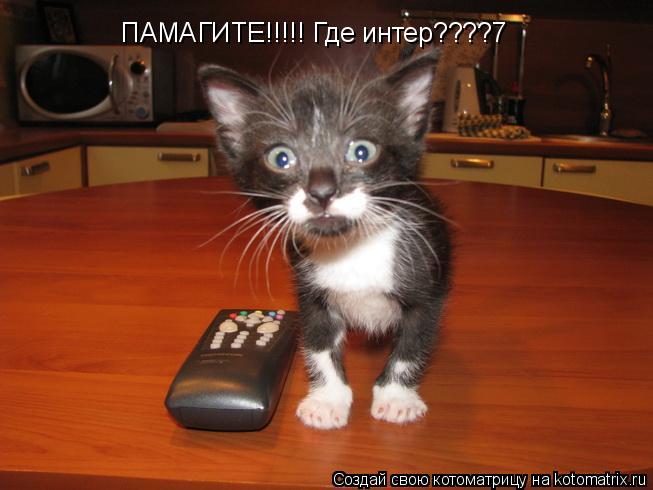 Котоматрица: ПАМАГИТЕ!!!!! Где интер????7