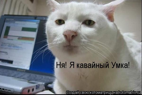 Котоматрица: Ня! Я кавайный Умка!