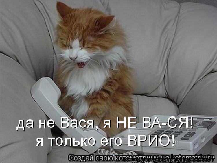 Котоматрица: да не Вася, я НЕ ВА-СЯ!  я только его ВРИО!