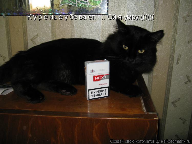 Котоматрица: К у р е нь е у бе ва ет...... Ой я умру:((((((