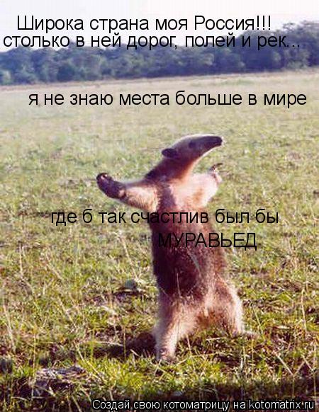 Котоматрица: Широка страна моя Россия!!! столько в ней дорог, полей и рек... я не знаю места больше в мире где б так счастлив был бы МУРАВЬЕД