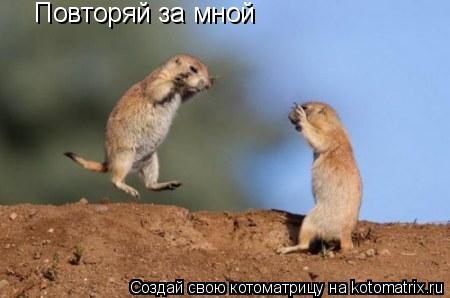 Котоматрица: Повторяй за мной  Повторяй за мной