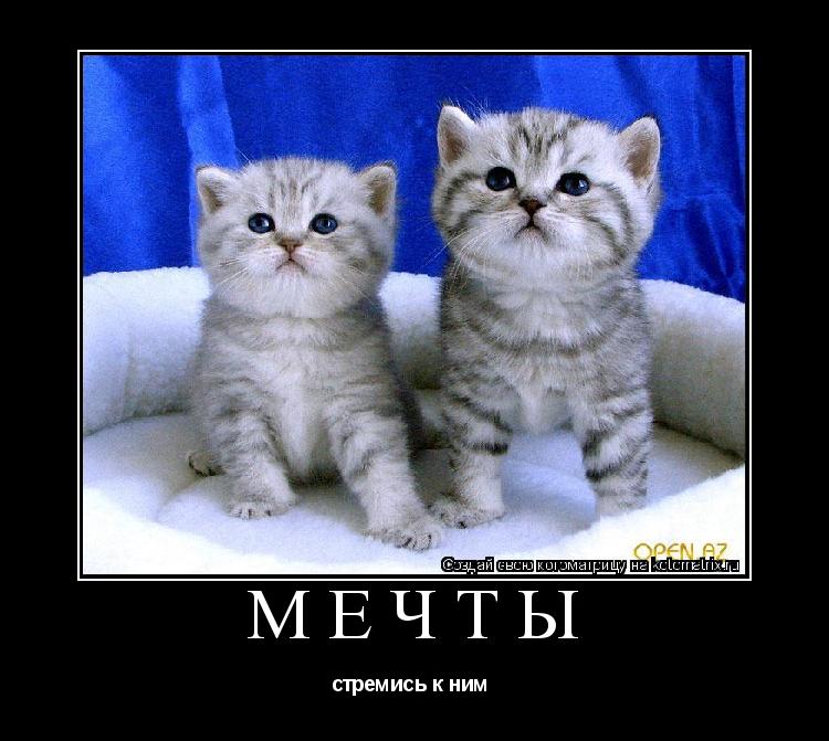 Котоматрица: мечты стремись к ним 