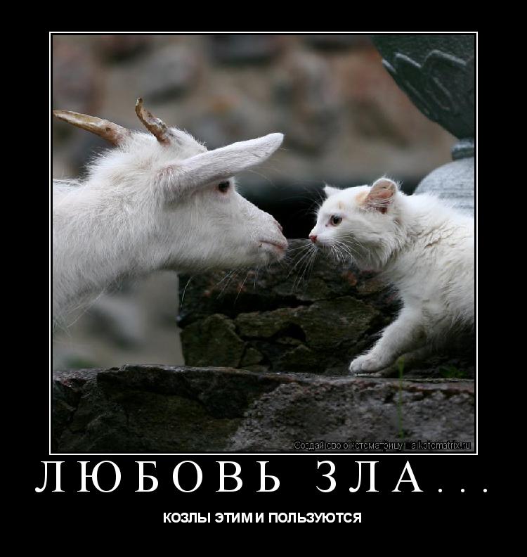 Котоматрица: ЛЮБОВЬ ЗЛА... КОЗЛЫ ЭТИМ И ПОЛЬЗУЮТСЯ