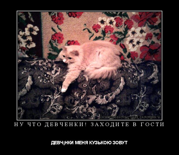 Котоматрица: НУ ЧТО ДЕВЧЁНКИ! ЗАХОДИТЕ В ГОСТИ  ДЕВЧЁНКИ МЕНЯ КУЗЬКОЮ ЗОВУТ