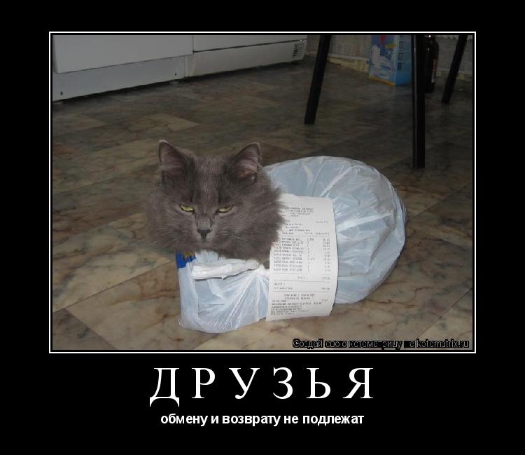 Друзья обмену и возврату не подлежат... Котоматрица: Друзья обмену и возврату не подлежат