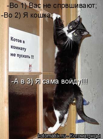 Котоматрица: -Во 1) Вас не спрвшивают; -Во 1) Вас не спрвшивают; -Во 2) Я кошка; -А в 3) Я сама войду!!!