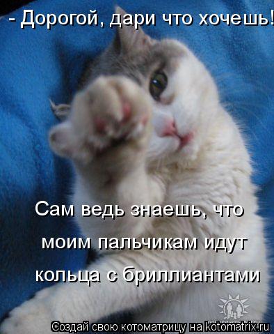 Котоматрица: - Дорогой, дари что хочешь! Сам ведь знаешь, что  моим пальчикам идут кольца с бриллиантами