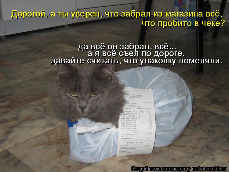 Котоматрица: Дорогой, а ты уверен, что забрал из магазина всё,  что пробито в чеке? да всё он забрал, всё... а я всё съел по дороге. давайте считать, что упако
