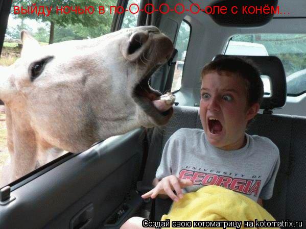 Котоматрица: выйду ночью в по-О-О-О-О-О-оле с конём...
