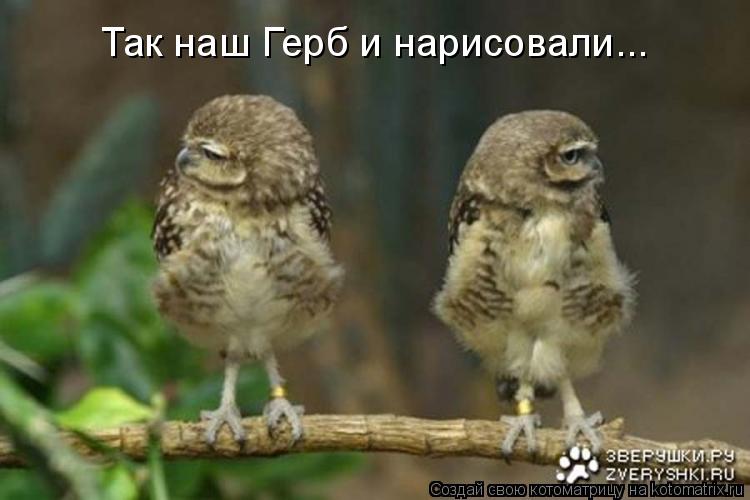 Котоматрица: Так наш Герб и нарисовали...