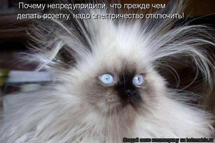 Котоматрица: Почему непредупридили, что прежде чем делать розетку, надо электричество отключить!