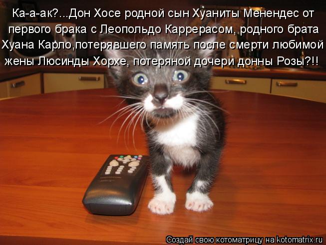 Котоматрица: Ка-а-ак?...Дон Хосе родной сын Хуаниты Менендес от  первого брака с Леопольдо Каррерасом, родного брата  Хуана Карло,потерявшего память после