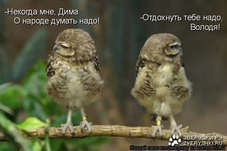 Котоматрица: -Отдохнуть тебе надо,  Володя! -Некогда мне, Дима О народе думать надо!