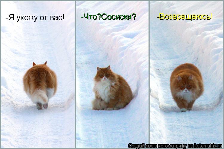 Котоматрица: -Я ухожу от вас! -Что?Сосиски? -Возвращаюсь!