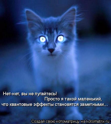 Котоматрица: Нет-нет, вы не пугайтесь! Просто я такой маленький, что квантовые эффекты становятся заметными...