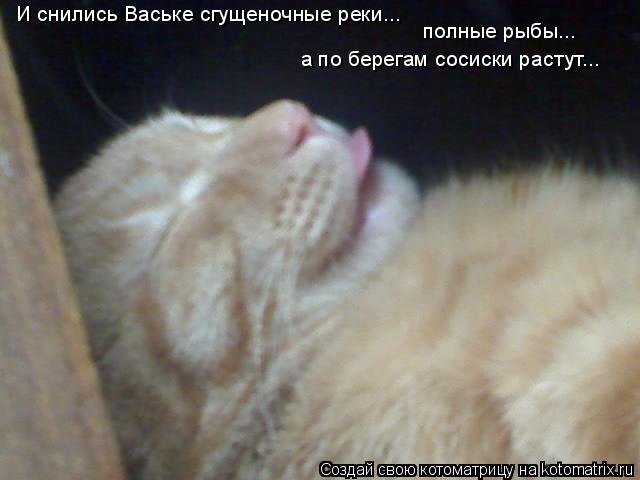Котоматрица: И снились Ваське сгущеночные реки... полные рыбы... а по берегам сосиски растут...