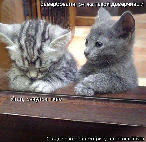 Котоматрица: Завербовали, он же такой доверчивый Упал, очнулся, гипс