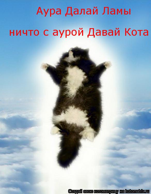 Котоматрица: Аура Далай Ламы ничто с аурой Давай Кота