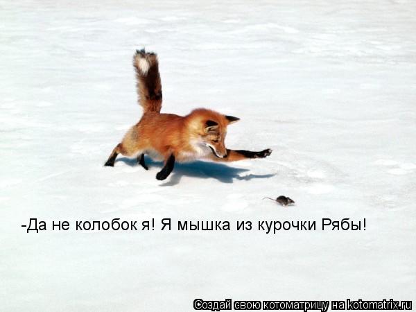 Котоматрица: -Да не колобок я! Я мышка из курочки Рябы!