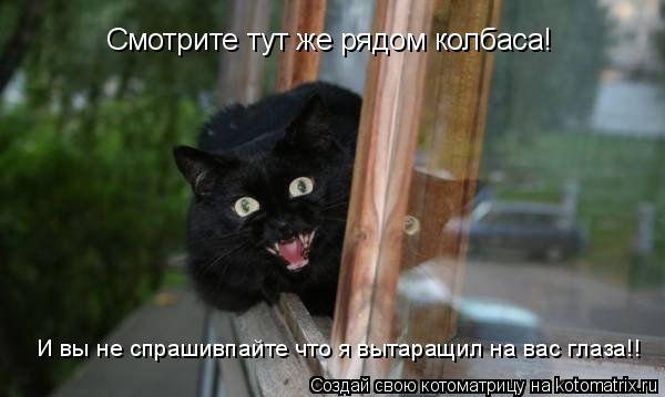 Котоматрица: Смотрите тут же рядом колбаса! И вы не спрашивпайте что я вытаращил на вас глаза!!