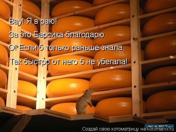 Вау! Я в раю! За это Барсика благодарю. О! Если б только раньше знала, Так быстро от него б не убегал... Котоматрица: Вау! Я в раю! За это Барсика благодарю. О! Если б только раньше знала, Так быстро от него б не убегала!