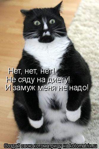 Нет, нет, нет! Не сяду на диету! И замуж меня не надо!... Котоматрица: Нет, нет, нет! Не сяду на диету! И замуж меня не надо!