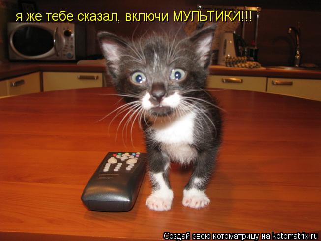 я же тебе сказал, включи МУЛЬТИКИ!!!... Котоматрица: я же тебе сказал, включи МУЛЬТИКИ!!!
