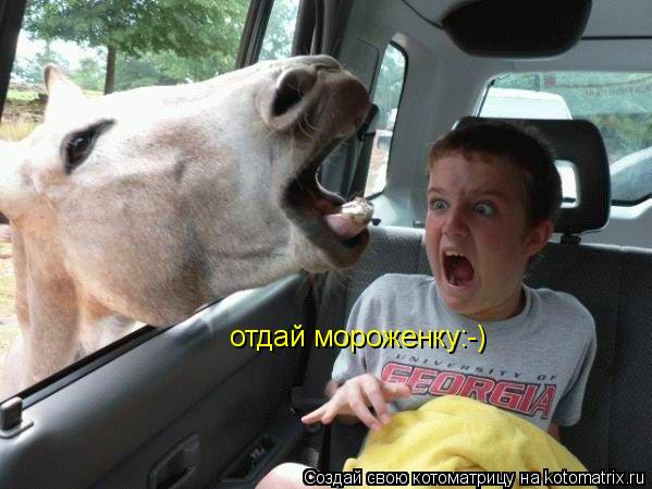 Котоматрица: отдай мороженку:-)