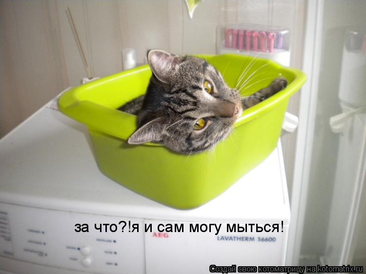 Котоматрица: за что?!я и сам могу мыться!