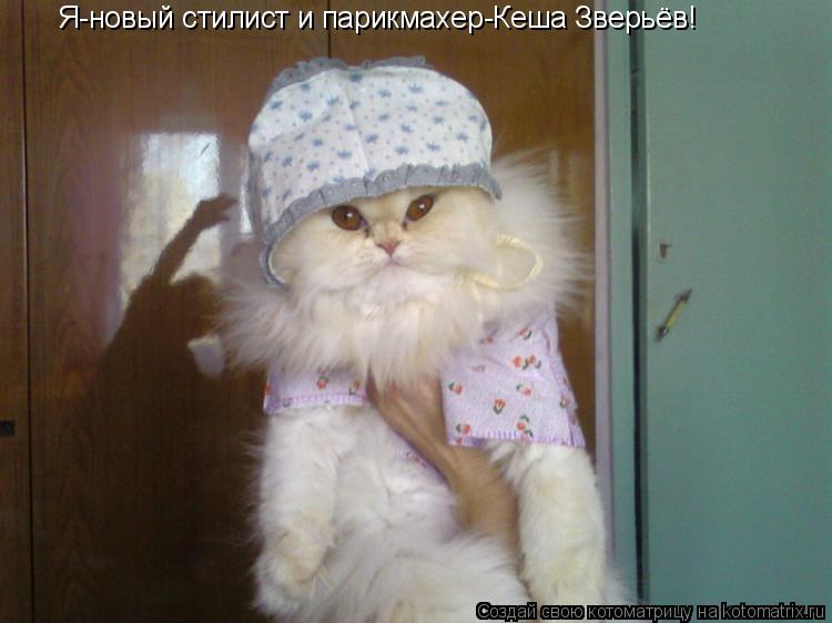 Котоматрица: Я-новый стилист и парикмахер-Кеша Зверьёв!