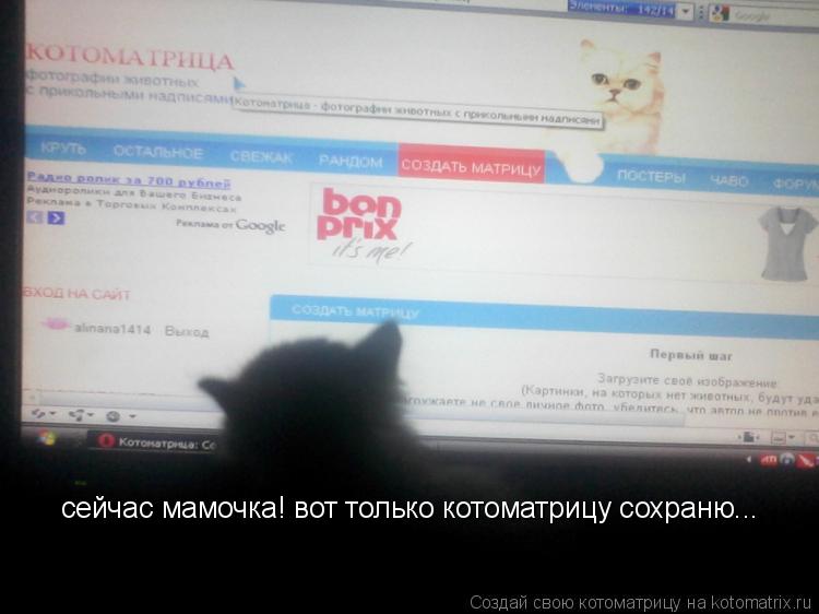 Котоматрица: сейчас мамочка! вот только котоматрицу сохраню...