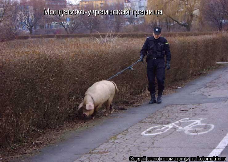 Котоматрица: Молдавско-украинская граница.