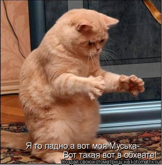 Котоматрица: Я то ладно,а вот моя Муська- Вот такая вот в обхвате!