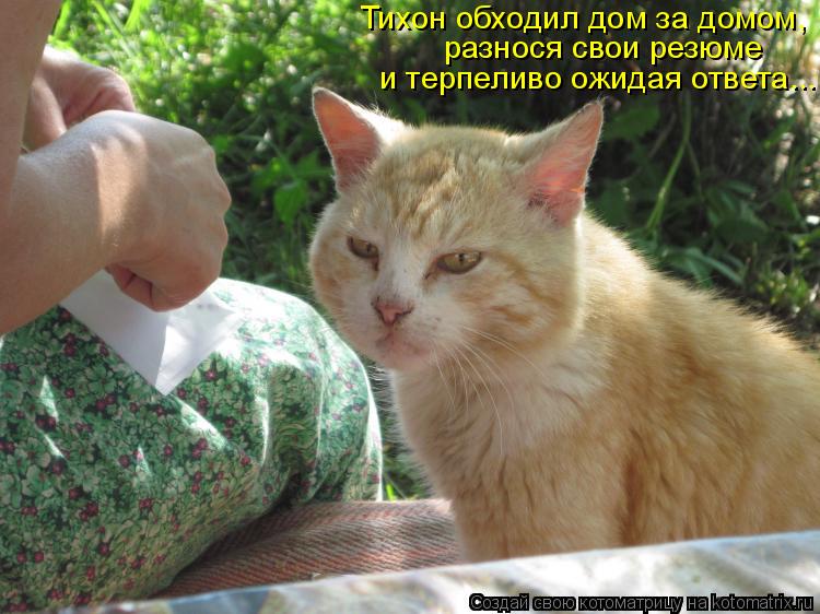 Тихон обходил дом за домом, разнося свои резюме и терпеливо ожидая ответа...... Котоматрица: Тихон обходил дом за домом, разнося свои резюме и терпеливо ожидая ответа...