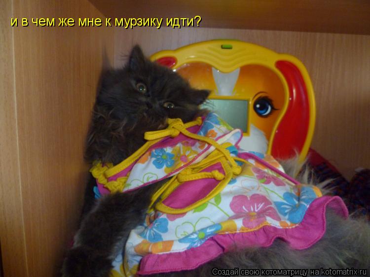 и в чем же мне к мурзику идти?... Котоматрица: и в чем же мне к мурзику идти?