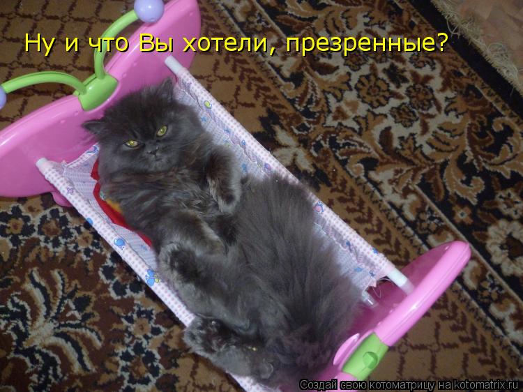 Ну и что Вы хотели, презренные?... Котоматрица: Ну и что Вы хотели, презренные?