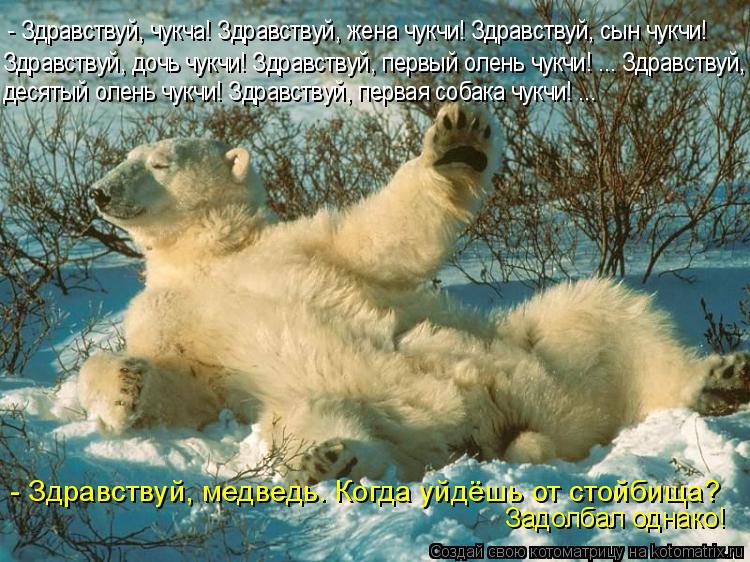 Котоматрица: - Здравствуй, медведь. Когда уйдёшь от стойбища? Задолбал однако! - Здравствуй, чукча! Здравствуй, жена чукчи! Здравствуй, сын чукчи! Здравств