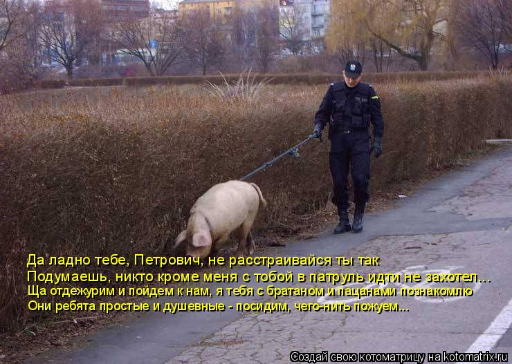 Котоматрица: Да ладно тебе, Петрович, не расстраивайся ты так Подумаешь, никто кроме меня с тобой в патруль идти не захотел... Ща отдежурим и пойдем к нам, 
