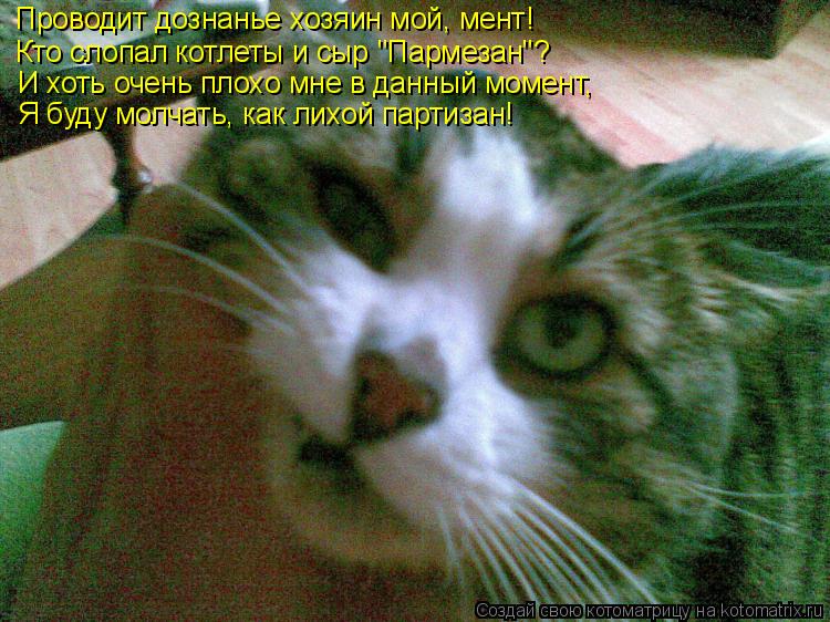 Котоматрица: Проводит дознанье хозяин мой, мент! Кто слопал котлеты и сыр "Пармезан"? И хоть очень плохо мне в данный момент, Я буду молчать, как лихой парт