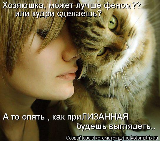 Котоматрица: Хозяюшка, может лучше феном?? или кудри сделаешь? А то опять , как приЛИЗАННАЯ будешь выглядеть..