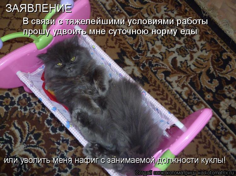 Котоматрица: ЗАЯВЛЕНИЕ В связи с тяжелейшими условиями работы прошу удвоить мне суточною норму еды или уволить меня нафиг с занимаемой должности куклы!