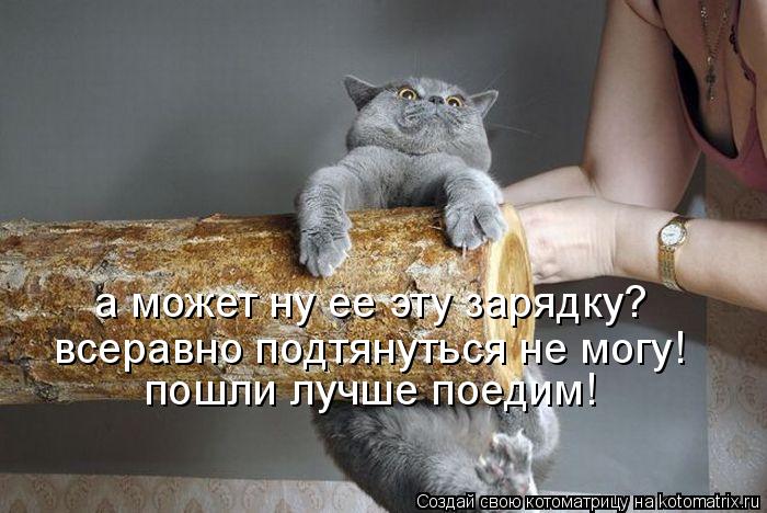 Котоматрица: а может ну ее эту зарядку? всеравно подтянуться не могу! пошли лучше поедим!