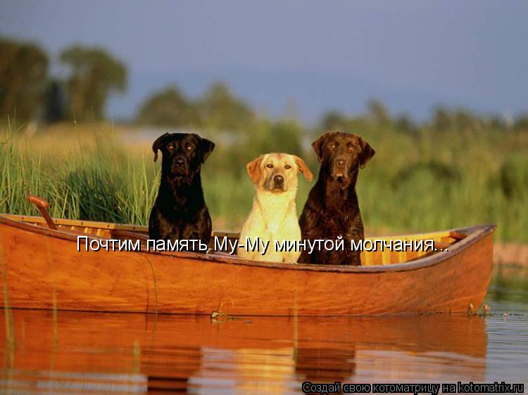 Почтим память Му-Му минутой молчания...... Котоматрица: Почтим память Му-Му минутой молчания...