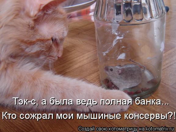 Котоматрица: Тэк-с, а была ведь полная банка... Кто сожрал мои мышиные консервы?!