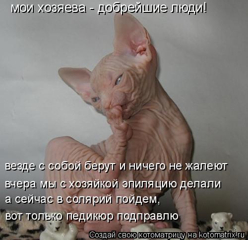 Котоматрица: мои хозяева - добрейшие люди! везде с собой берут и ничего не жалеют вчера мы с хозяйкой эпиляцию делали а сейчас в солярий пойдем,  вот тольк